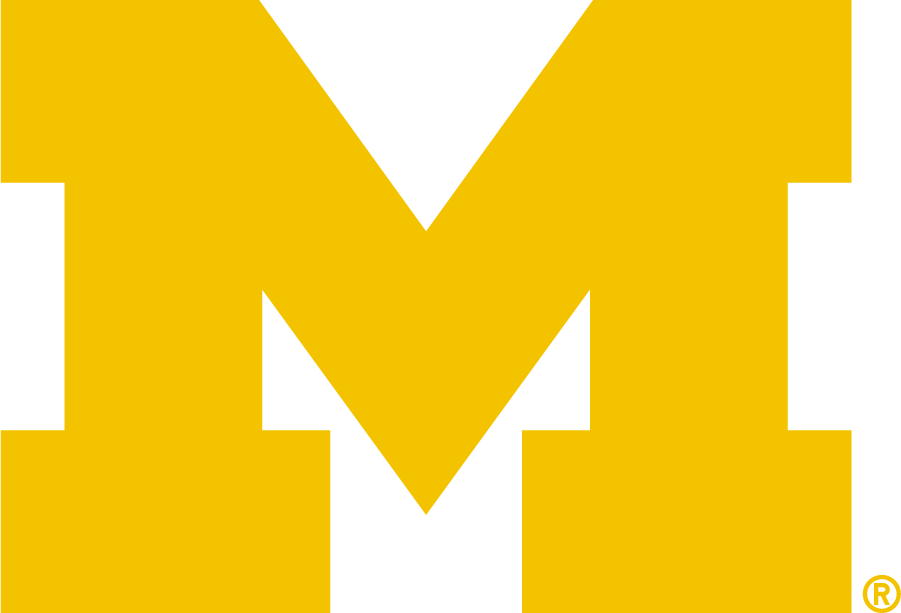 Michigan Wolverines 2016-Pres Primary Logo iron on transfers for T-shirts